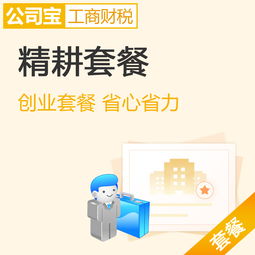 北京精耕套餐 一站式内资公司注册与财税管理解决方案